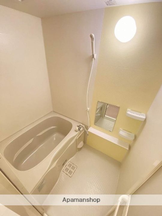 鹿児島県姶良市加治木町木田の賃貸マンションの風呂