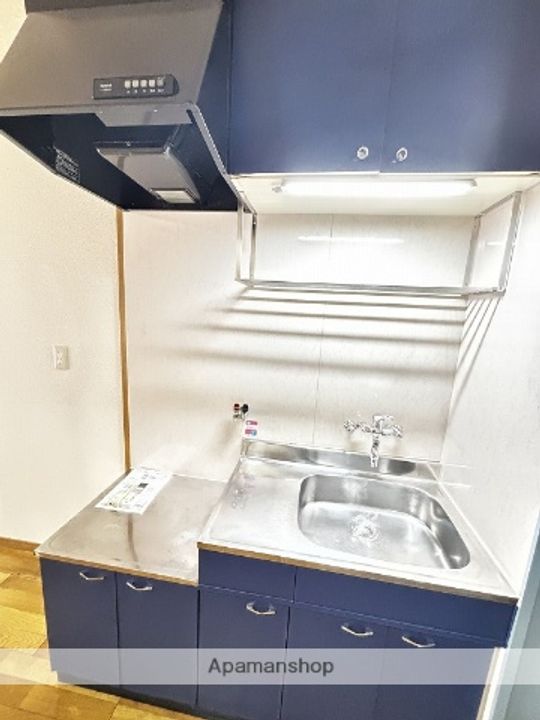 鹿児島県姶良市加治木町新富町の賃貸アパートのキッチン