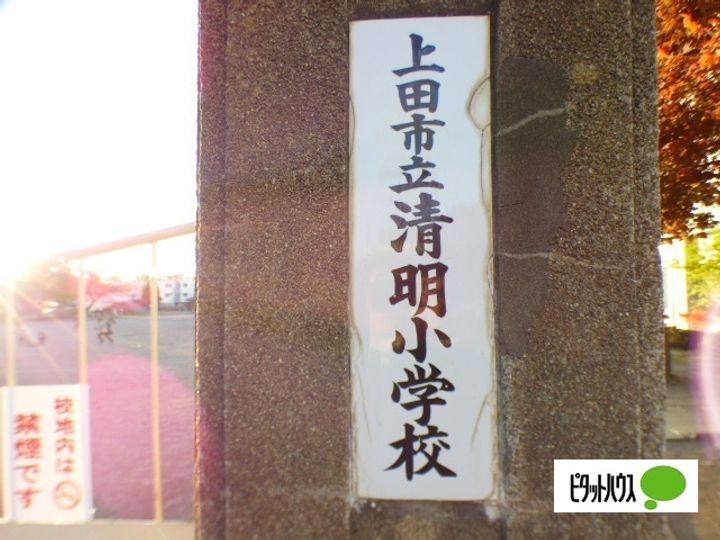 コーポ泉平の周辺