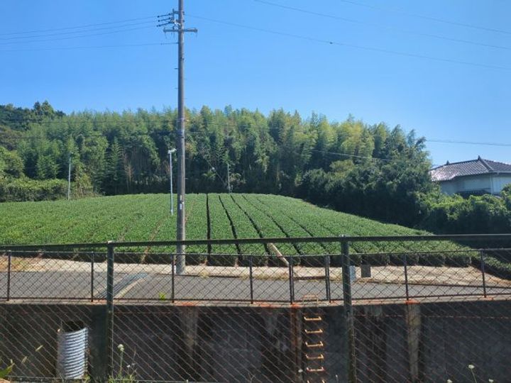 静岡県掛川市子隣(一戸建)の賃貸物件のその他画像