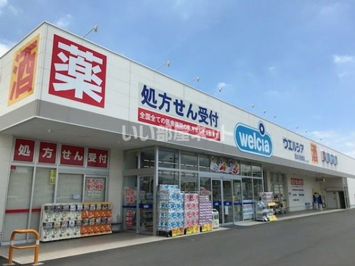 サントラップY&Sの周辺