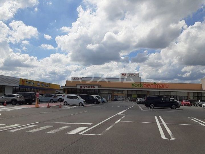 栃木県宇都宮市鶴田町(一戸建)の賃貸物件の周辺