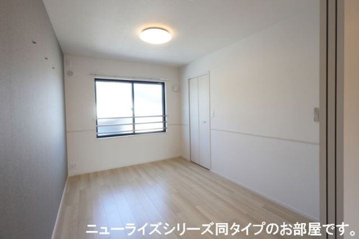 マリーゴールドのその他画像
