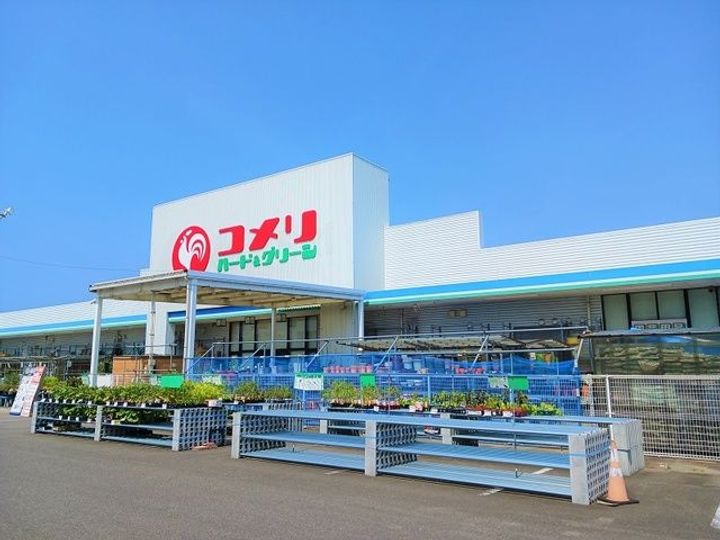 マリーゴールドの周辺