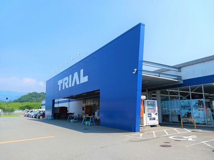 マリーゴールドの周辺