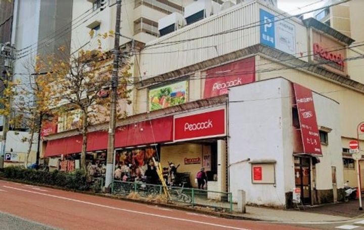 ラピス白金の周辺