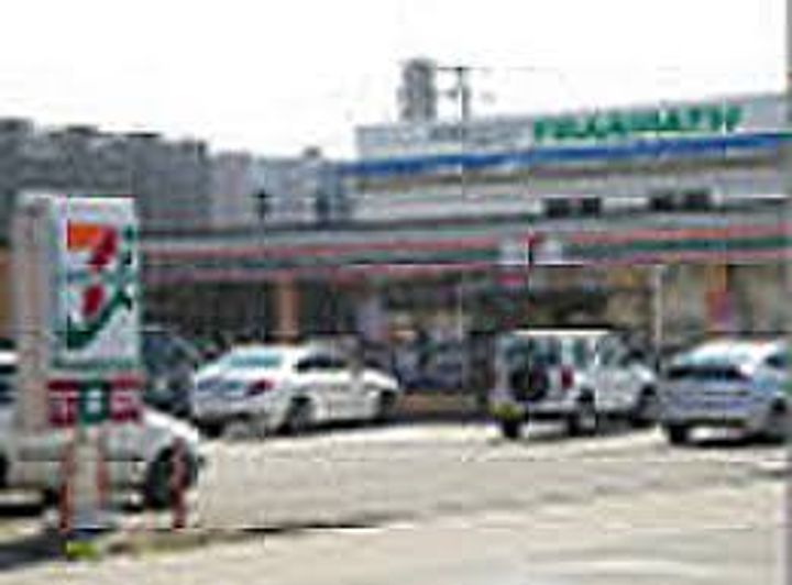 ナイスアーバン大和町ステイツの周辺