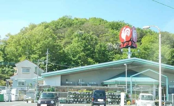 栃木県栃木市岩舟町畳岡(アパート)の賃貸物件の周辺
