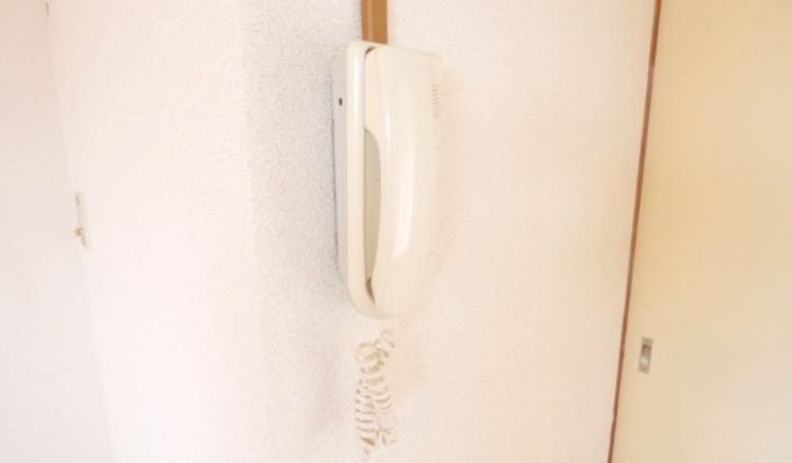 神奈川県相模原市南区麻溝台8(アパート)の賃貸物件の内装