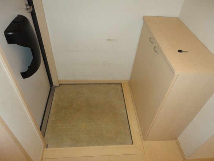 カーサ ハーモニー B棟の玄関