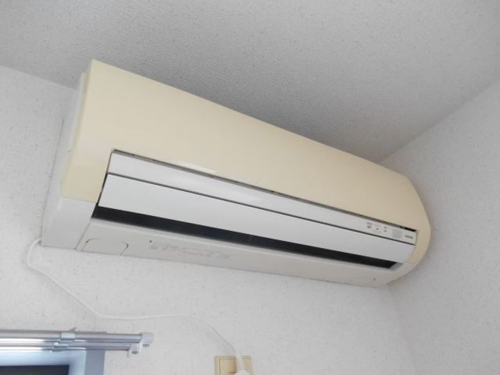 カナリーグラスの内装