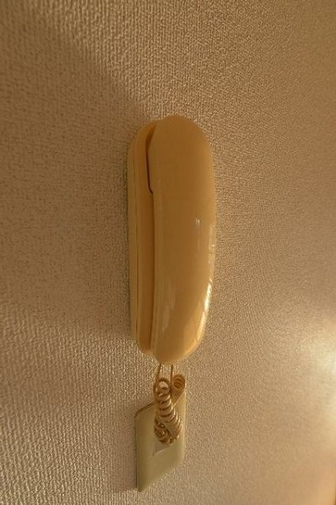 千葉県市川市柏井町2(アパート)の賃貸物件の内装