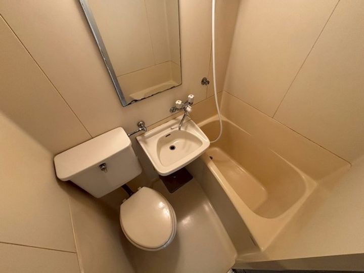 アスプロパラティIIの内装