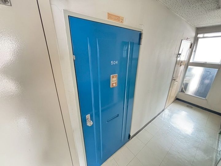 アスプロパラティIIのその他画像