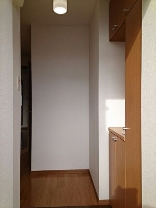 メゾン・ラフィネAの玄関