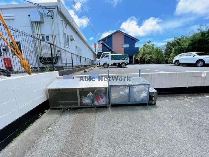 サニーレタスのその他画像