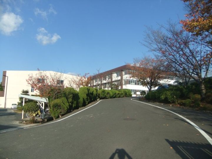 タウンパルの周辺