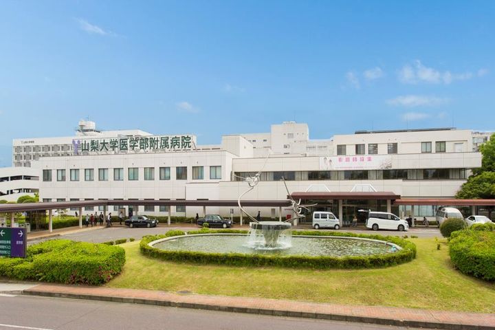 サンライズ藤の周辺