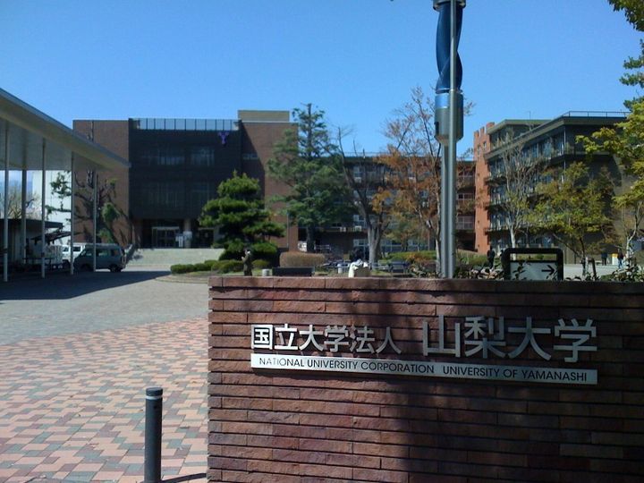 アベニューアルプスCの周辺