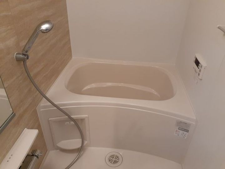 ラ ヴィータ西梅田の風呂