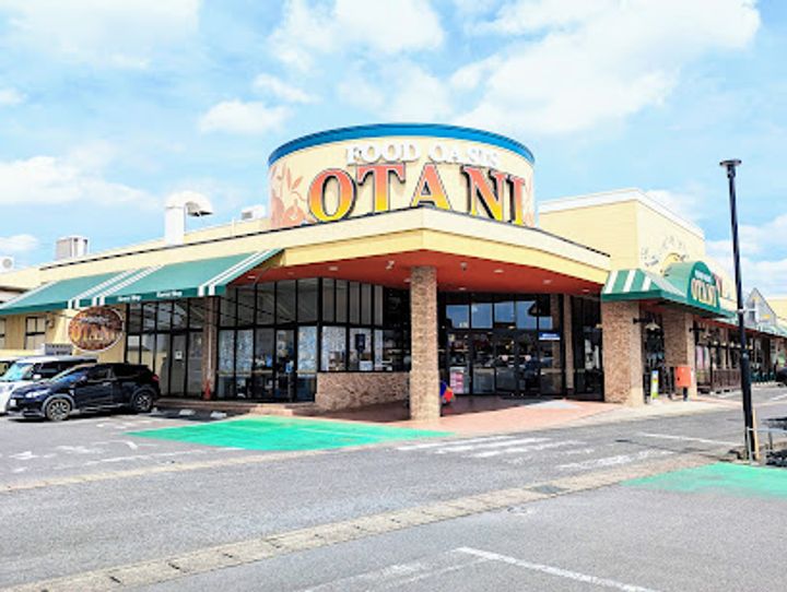 レオパレスフローラ真岡の周辺