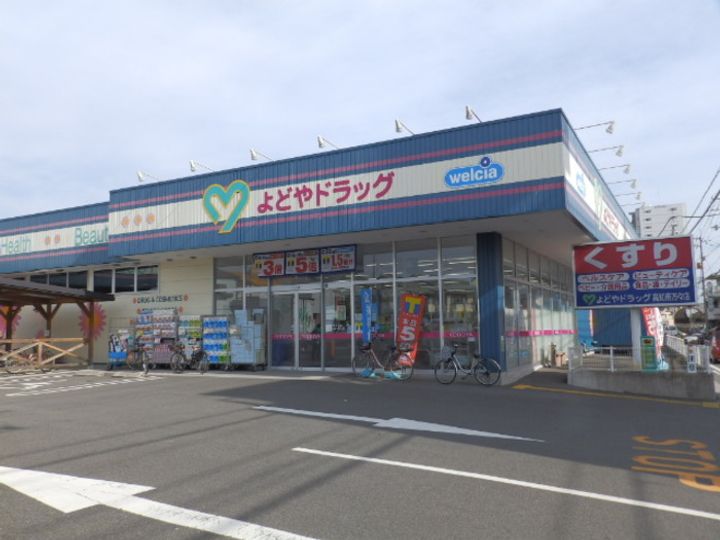 高知県高知市新屋敷2(一戸建)の賃貸物件の周辺