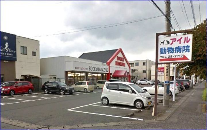 コスモスFの周辺