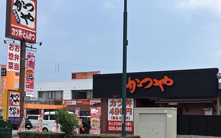 野口ハイツの周辺