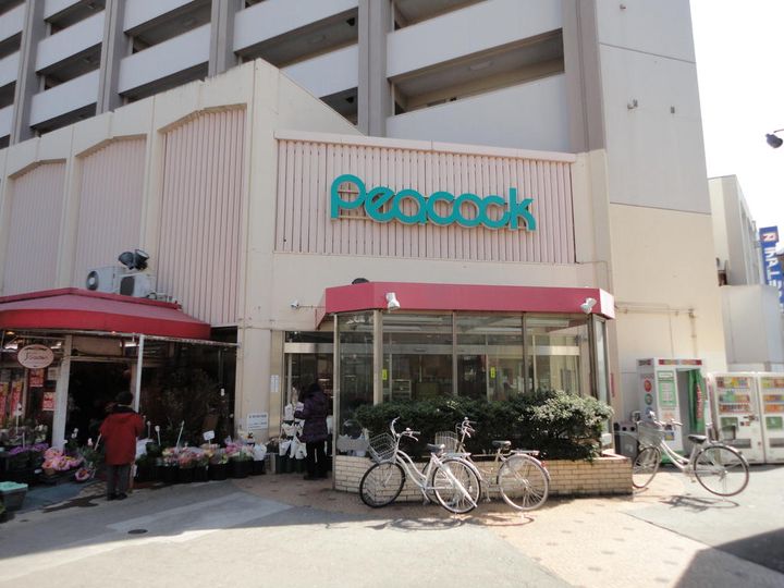 東京都新宿区下落合3(一戸建)の賃貸物件の周辺