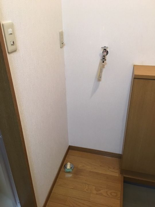 ハイムアンゲルウスIの内装