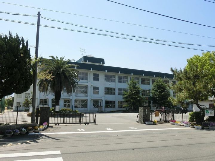 Superiageの周辺