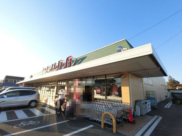 千葉県市原市松ケ島2(アパート)の賃貸物件の周辺
