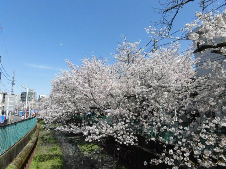 コスモハイム元住吉の周辺