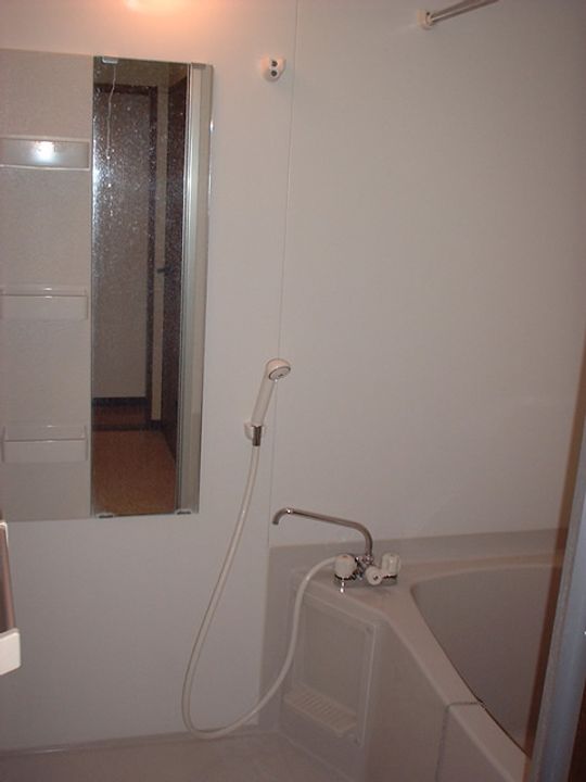 ボヌール泉中央の風呂