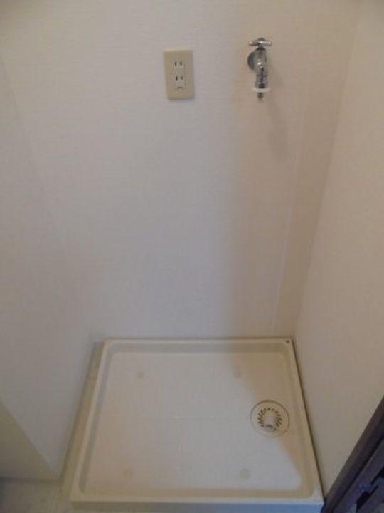 ウィステリアシードのその他画像