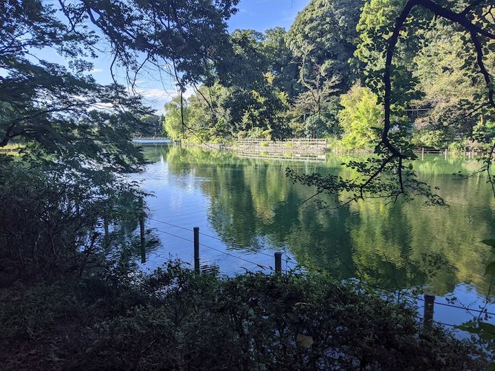 パークサイドハイツの周辺