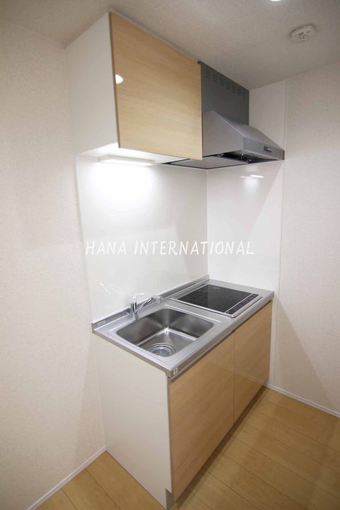 埼玉県越谷市大字恩間(アパート)の賃貸物件のキッチン