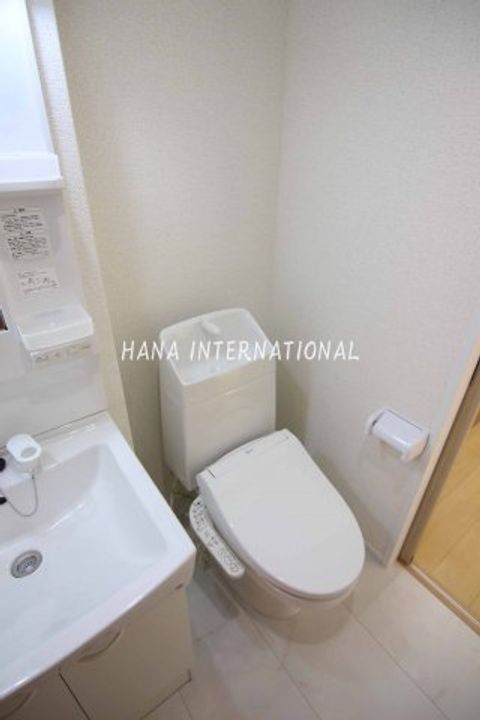 埼玉県越谷市大字恩間(アパート)の賃貸物件の内装