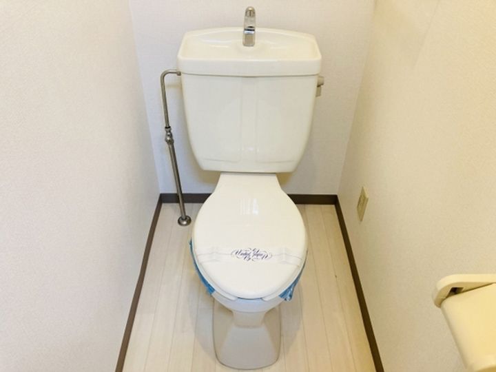 グリーンパキラの内装