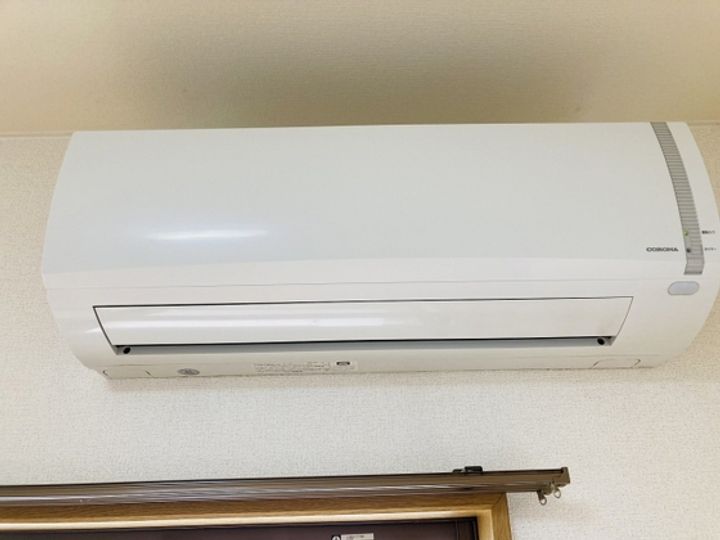 グリーンパキラの内装