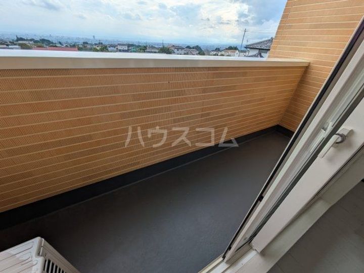 ANIMAL KINGDOMの内装