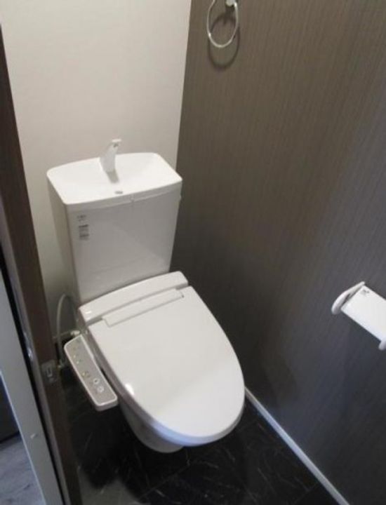 東京都大田区山王3(アパート)の賃貸物件の内装