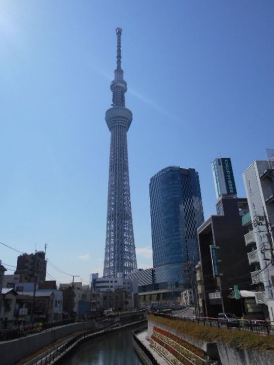 東京都墨田区押上1(マンション)の賃貸物件の周辺