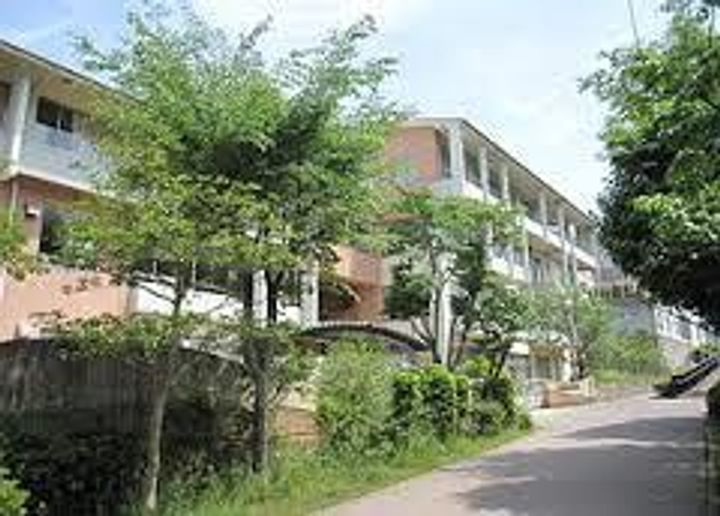 アンジェリークの周辺