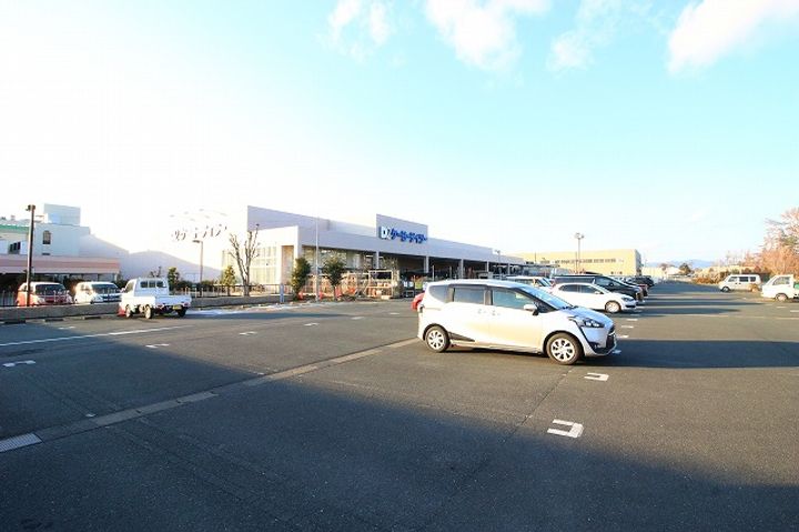 ヤングプラザM Aの周辺