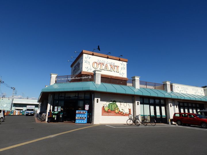 栃木県宇都宮市鶴田町(一戸建)の賃貸物件の周辺