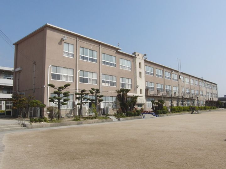 ミルトCの周辺