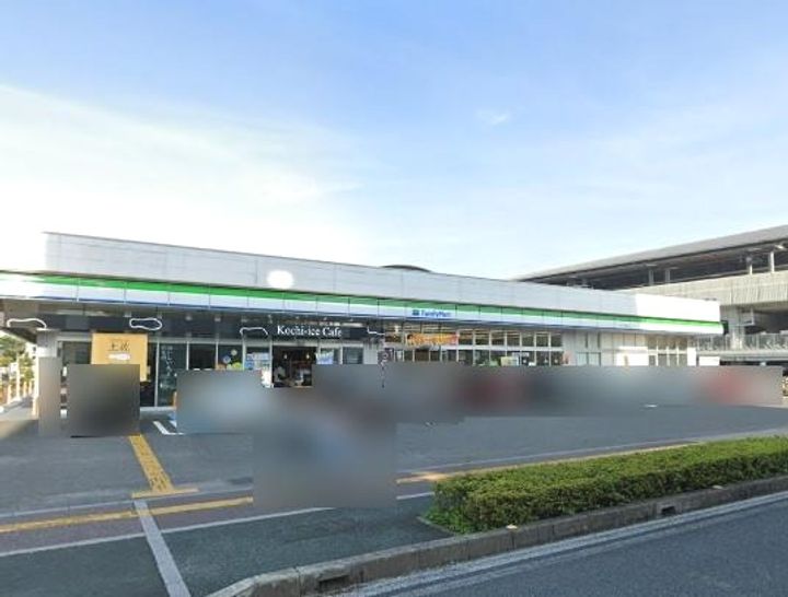 ロイヤルガーデン高知駅前(1103)の周辺