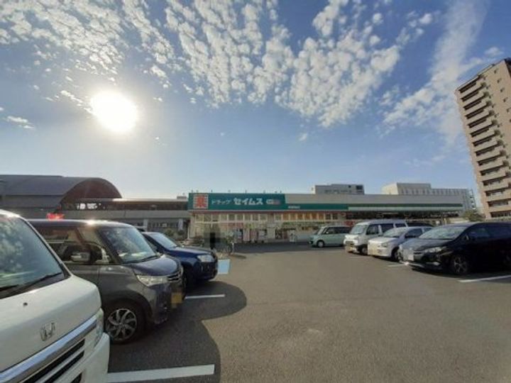 ロイヤルガーデン高知駅前(1103)の周辺