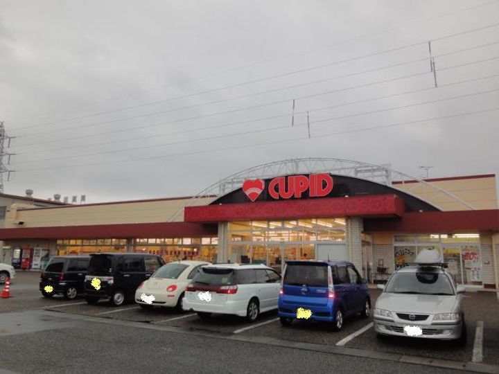 新潟県新潟市中央区新光町(マンション)の賃貸物件の周辺